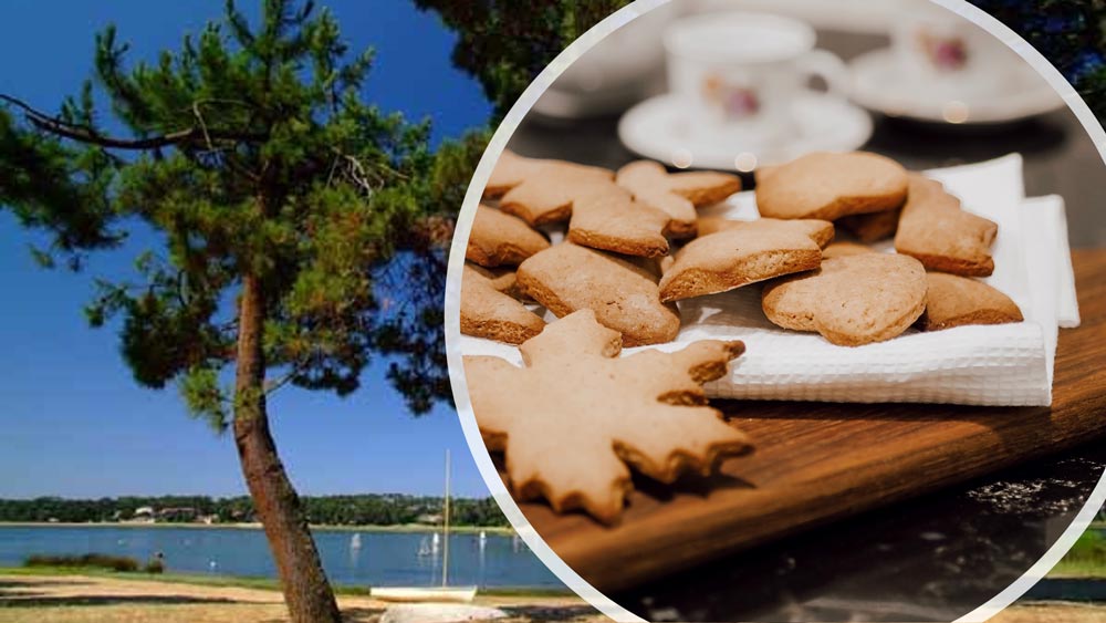 photo d'Hossegor et biscuits sablés